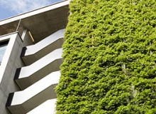 立體綠化獎勵補助政策有哪些？