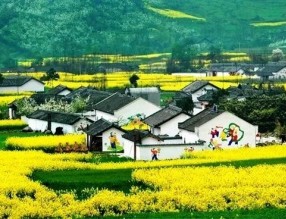 四部門印發(fā)《“十四五”鄉(xiāng)村綠化美化行動方案》，哪些亮點值得關注？