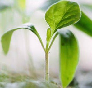 索爾集團(tuán)價(jià)值觀