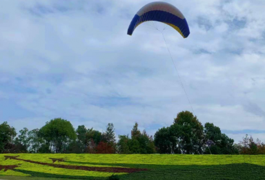 《暢想藍(lán)天·筑夢(mèng)飛行》——南康飛行小鎮(zhèn)邊坡綠化