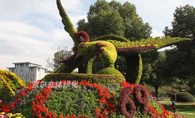 國慶廣場景觀提升