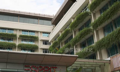 酒店窗臺(tái)綠化工程案例