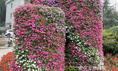 國慶廣場景觀提升