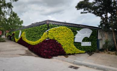 亞運主題綠植墻