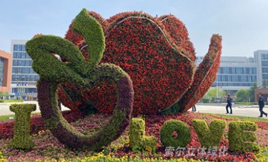 立體花壇《幸福花開》