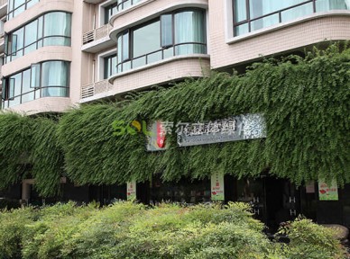 門店立體綠化解決方案簡(jiǎn)介