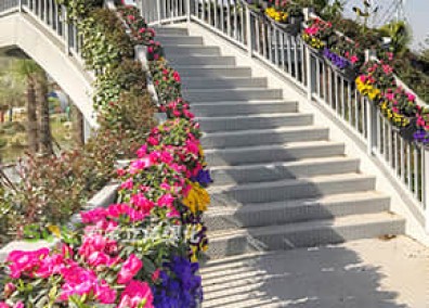 人行天橋綠化解決方案