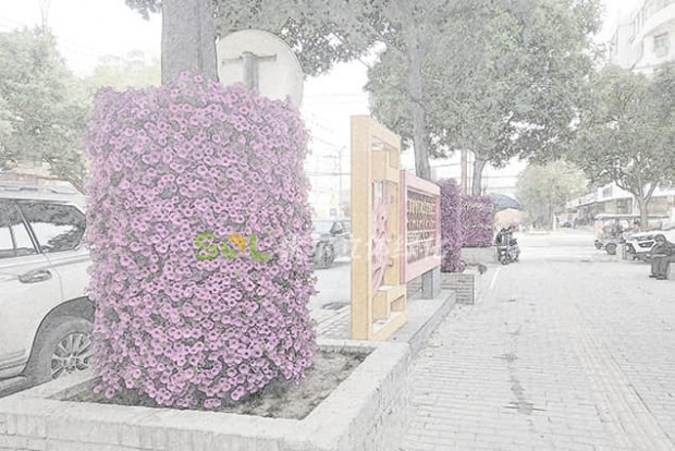 行道樹景觀設(shè)計效果圖