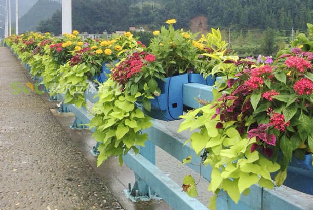 市政道路景觀提升