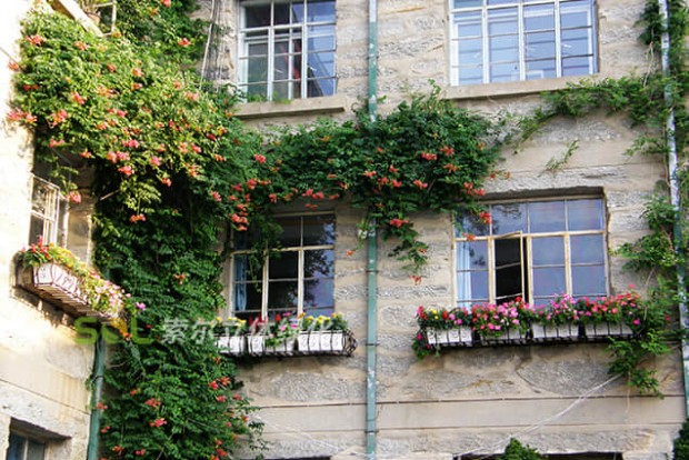 窗臺美化景觀設(shè)計實(shí)際效果圖