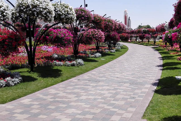 花樹景觀設(shè)計實(shí)際效果圖