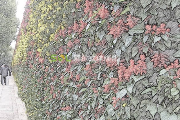 植物墻設(shè)計效果圖