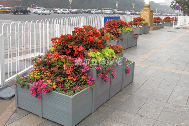 組合造景景觀設(shè)計實(shí)際效果圖