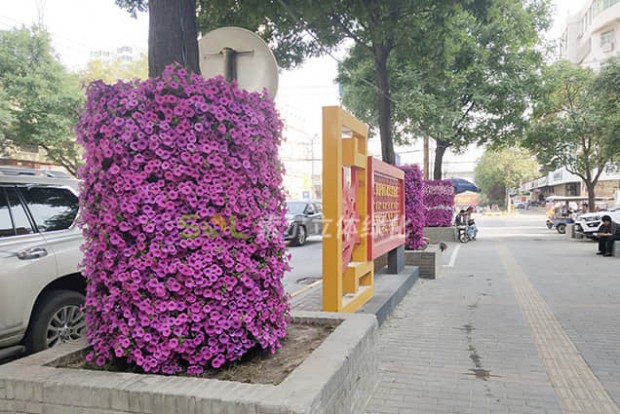 行道樹景觀設(shè)計實(shí)際效果圖