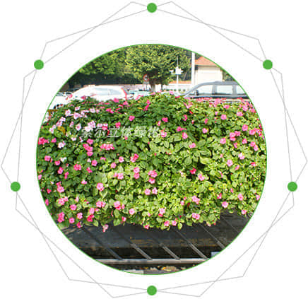 護欄綠化的特點