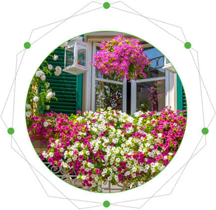 陽臺花園的特點