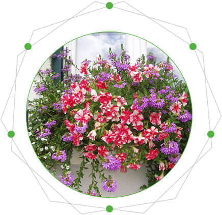 窗臺美化的特點