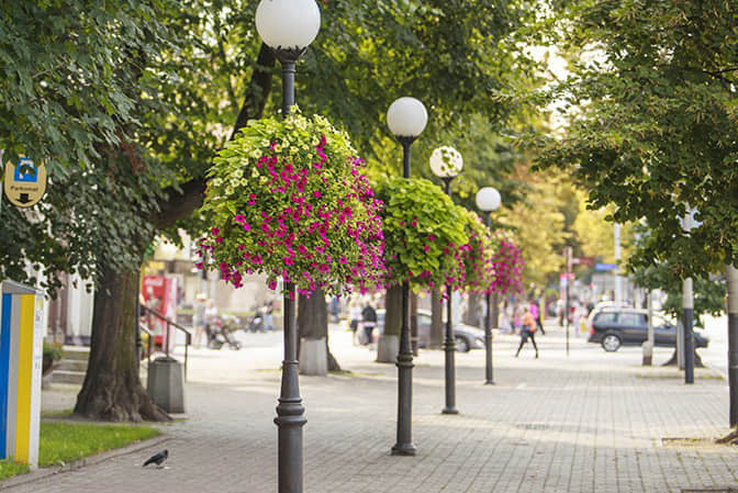 道路街道景觀提升3