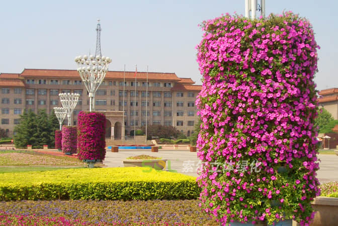 廣場公園景點(diǎn)景觀提升1