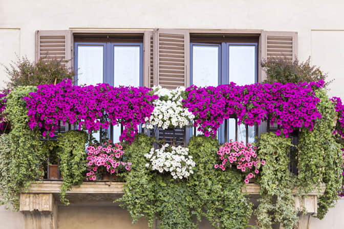居住空間景觀提升高端別墅陽臺花園