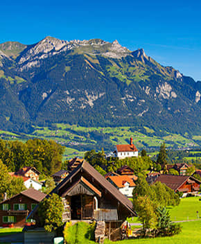 美麗鄉(xiāng)村景觀提升解決方案