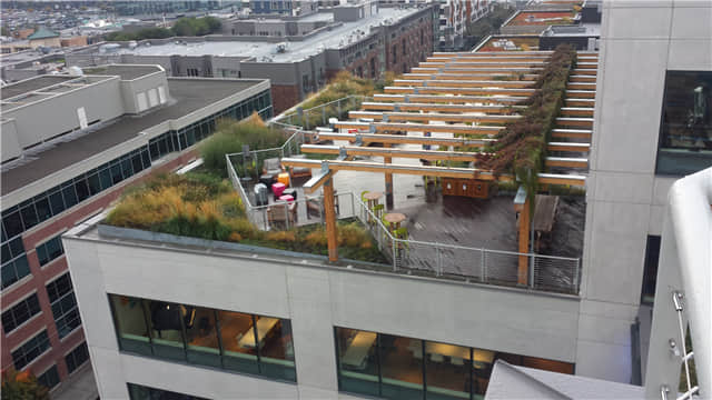 Facebook西雅圖分部屋頂花園 (4).jpg