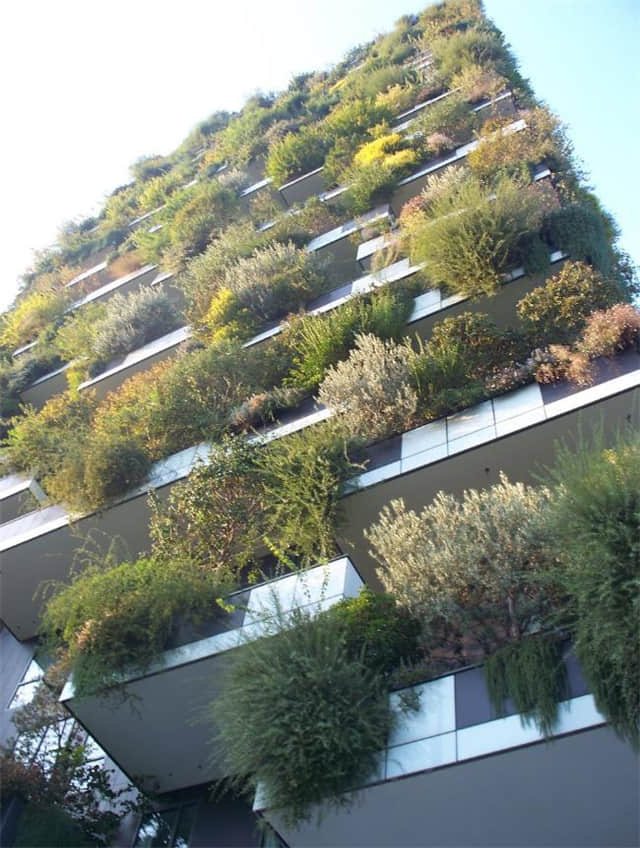 意大利米蘭垂直森林Bosco Verticale (16).jpg 意大利米蘭垂直森林Bosco Verticale (16).jpg