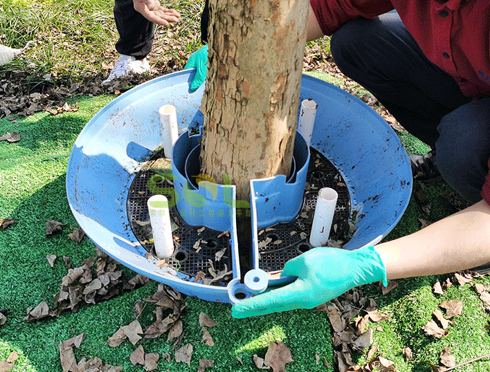 行道樹綠化的安裝流程