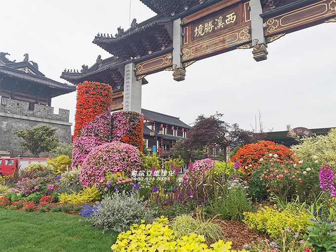 17移動花園-2020年4月28日江蘇東臺西溪古鎮五一景觀提升 (1)泰山路花境.jpg