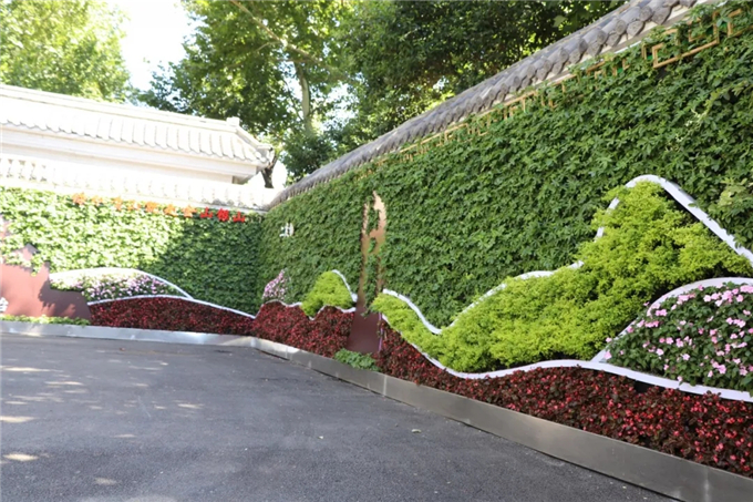 邯鄲首個“墻上花園”亮相,不但好看,還能降噪、除塵! (4).jpg