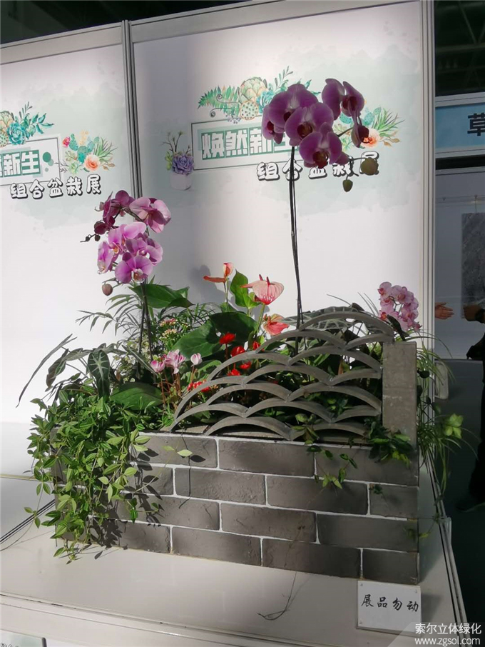 第二十二屆中國國際花卉園藝展-索爾 (9).jpg