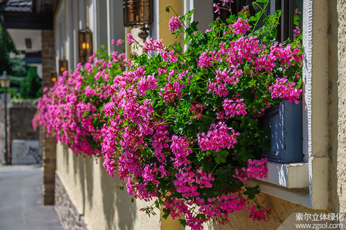 43窗臺美化 (140).jpg