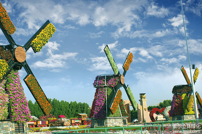 40迪拜奇跡花海 (8).jpg