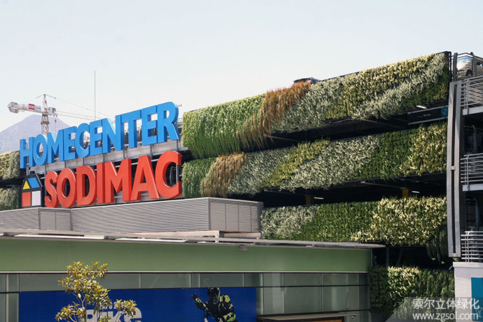 04車庫植物墻 (10).jpg