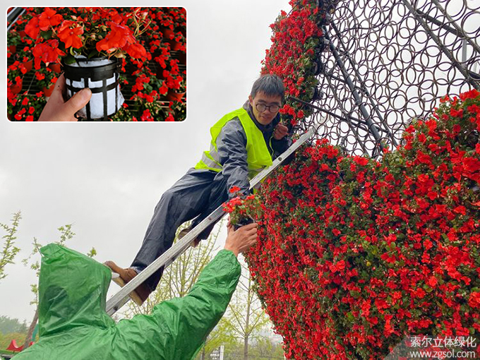 25山東青島膠州市民文化中心五一立體花壇“幸福花開(kāi)”  (24).jpg