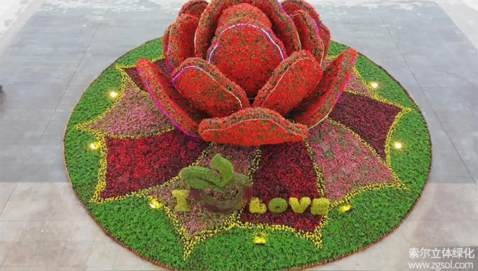 01膠州市民文化中心五一立體花壇“幸福花開(kāi)” (1).jpg