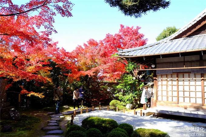 51日式庭院-金佛寺 (2).jpg