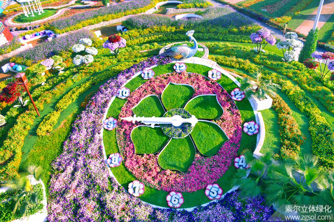 55迪拜奇跡花海 (10).jpg