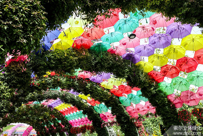 46迪拜奇跡花海 (26).jpg